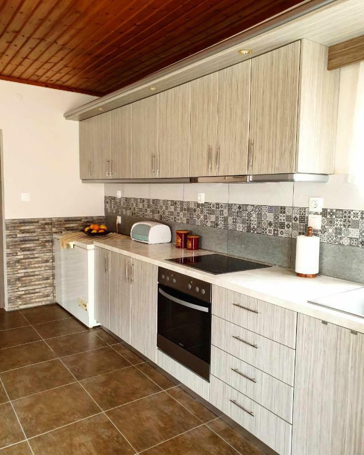 Repanidi Apartment D / Ρεπανίδι Διαμέρισμα Δ Repanidhion Exterior foto